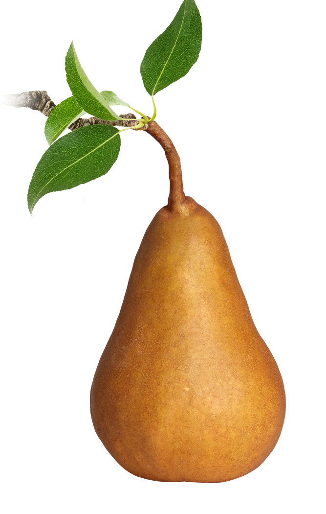 Kaiser